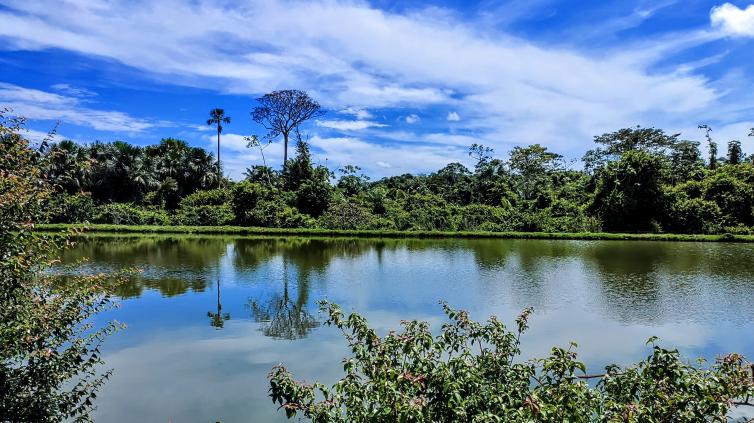 Imagem - Olhos d águas da amazônia